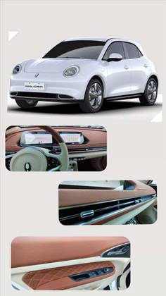 GWM ORA 03 48 KW ELÉTRICO SKIN BEV48